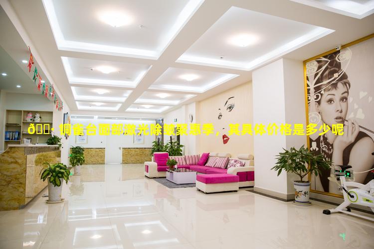 🌷 铜雀台面部激光除皱聚惠季，其具体价格是多少呢